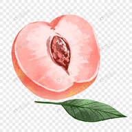 WWW,av706·COM网站APPAPP应用